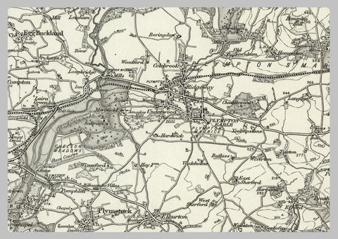 1890 Collection - Ivybridge (Dartmoor Forest) Ordnance Survey Map | I ...