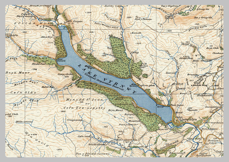 1920 Collection - Dolgelley & Lake Vyrnwy Ordnance Survey Map | I Love Maps