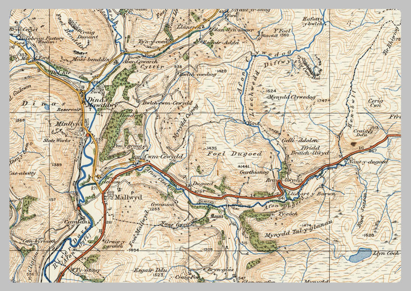 1920 Collection - Dolgelley & Lake Vyrnwy Ordnance Survey Map