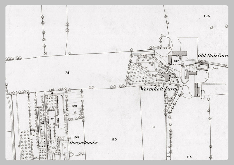 London 1872 Ordnance Survey Map - Sheet XXXI - East Acton