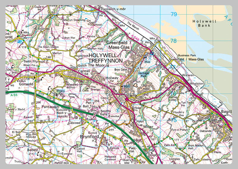 Flintshire County Map