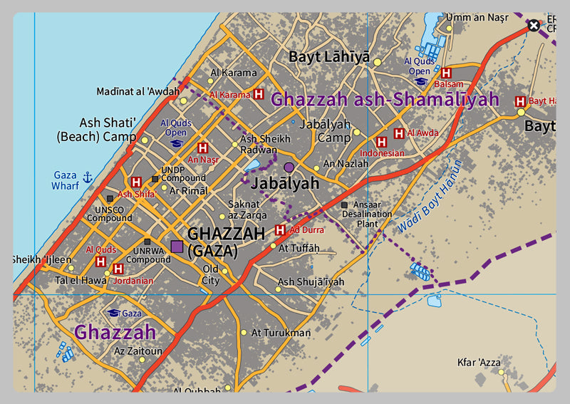 The Gaza Strip Physical Map