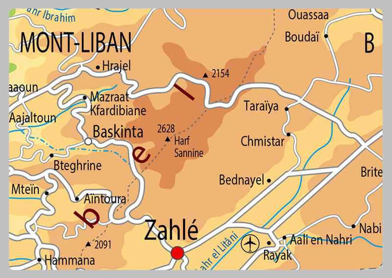 Physical Map of Lebanon - The Oxford Collection