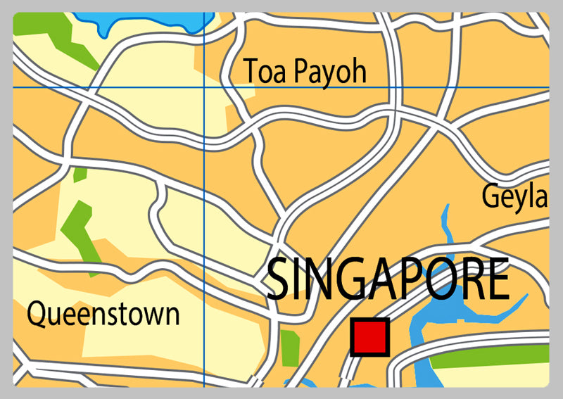 Physical Map of Singapore - The Oxford Collection