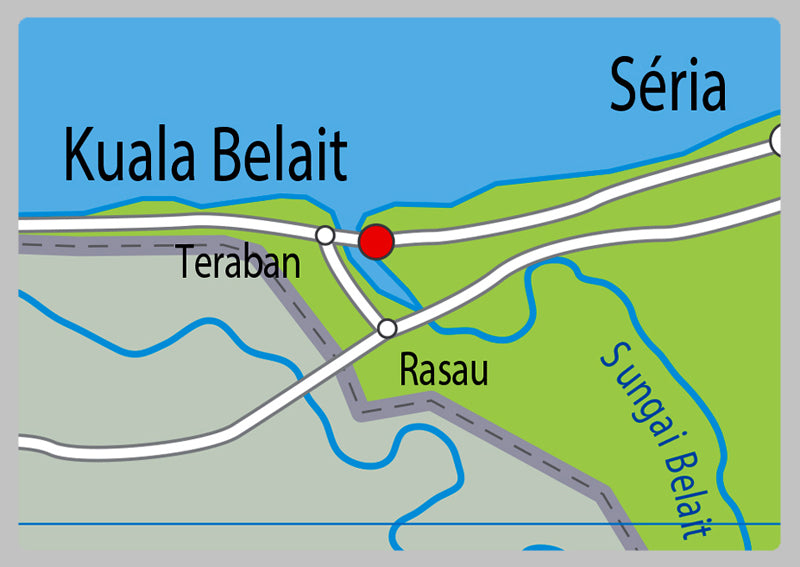 Physical Map of Brunei - The Oxford Collection