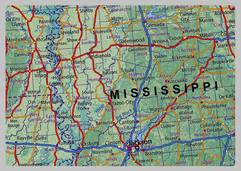 Texas, Louisiana, Arkansas & Mississippi Physical State Map